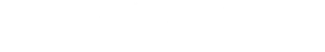 logo: true ventures